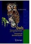 Owls (Strigiformes)