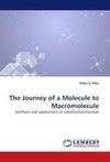 The Journey of a Molecule to Macromolecule