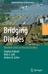 Bridging Divides