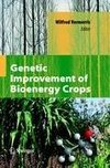 Genetic Improvement of Bioenergy Crops