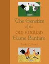 The Genetics of the Old English Game Bantam