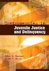 Benekos, P: Controversies in Juvenile Justice and Delinquenc