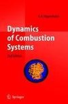 Dynamics of Combustion Systems