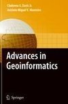 Advances in Geoinformatics