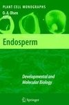 Endosperm