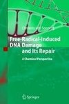 Free-Radical-Induced DNA Damage and Its Repair