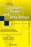 Cyclotomic Fields and Zeta Values