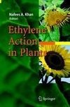 Ethylene Action in Plants