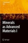 Minerals as Advanced Materials I