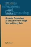 Granular Computing: At the Junction of Rough Sets and Fuzzy Sets