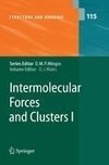 Intermolecular Forces and Clusters I