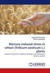 Mercury induced stress in wheat (Triticum aestivum L.) plants