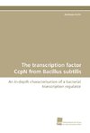 The transcription factor CcpN from Bacillus subtilis