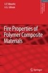 Fire Properties of Polymer Composite Materials