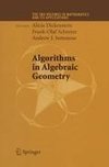 Algorithms in Algebraic Geometry