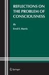 Reflections on the Problem of Consciousness