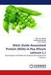 Nitric Oxide Associated Protein (NOA) in Pea (Pisum sativum L.)