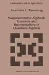 Noncommutative Algebraic Geometry and Representations of Quantized Algebras