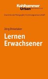 Lernen Erwachsener