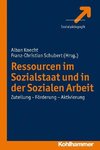 Ressourcen im Sozialstaat und in der Sozialen Arbeit