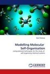 Modelling Molecular  Self-Organisation