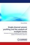 Single-channel seismic profiling and the analysis of multiple events