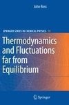 Thermodynamics and Fluctuations far from Equilibrium