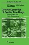 Growth Dynamics of Conifer Tree Rings