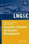 Geomatics Solutions for Disaster Management