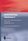 Numerical Flow Simulation II