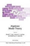 Algebraic Model Theory