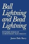 Ball Lightning and Bead Lightning