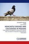 NEWCASTLE DISEASE AND COCCIDIOSIS IN PIGEONS