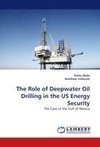 The Role of Deepwater Oil Drilling in the US Energy Security