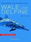 Wale und Delfine