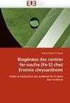 Biogénèse des centres fer-soufre [Fe-S] chez Erwinia chrysanthemi