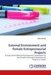 External Environment and Female Entrepreneurial Projects