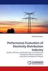 Performance Evaluation of Electricity Distribution Industry