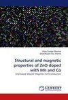 Structural and magnetic properties of ZnO doped with Mn and Co