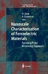 Nanoscale Characterisation of Ferroelectric Materials