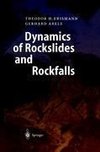 Dynamics of Rockslides and Rockfalls