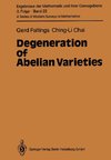 Degeneration of Abelian Varieties