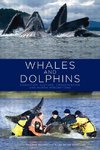 WHALES & DOLPHINS