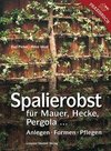 Spalierobst