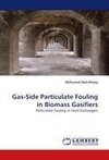 Gas-Side Particulate Fouling in Biomass Gasifiers