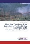 Near Real Time Burn Scars Detection in Thailand Using Terra Modis Data