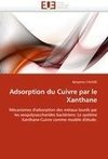 Adsorption du Cuivre par le Xanthane