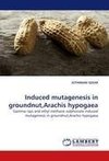 Induced mutagenesis in groundnut,Arachis hypogaea