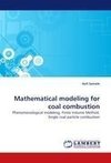 Mathematical modeling for coal combustion