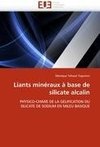 Liants minéraux à base de silicate alcalin